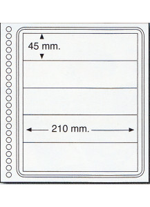Fogli in cartoncino a 5 strisce finissima qualità 210 mm X 45 mm per ditta Marini e Abafil